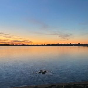 Meet your Posher, Maddie